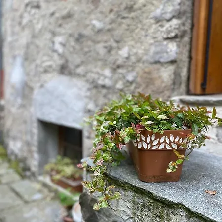 Casa Delle Galline Nyaraló *